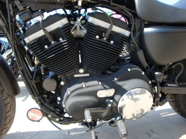 familie Spiller skak Fugtighed Harley Davidson XL 883 Sportster Iron: Introduction to a myth. |  moto-choice.com